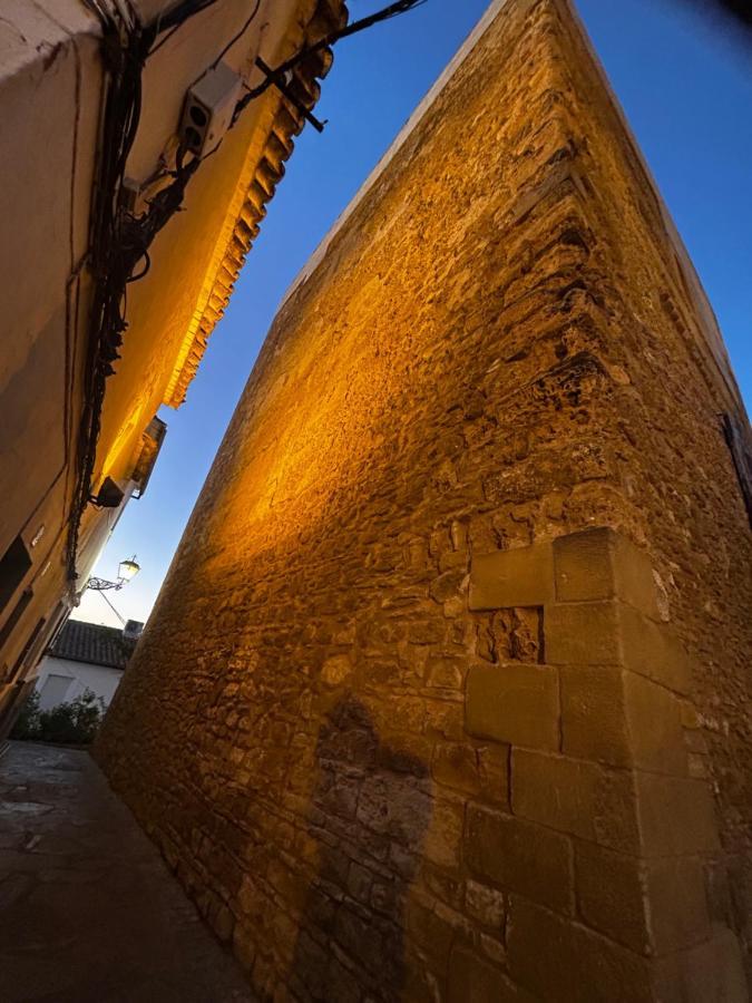 Apartamento ¨El Lizon¨ Setenil De Las Bodegas エクステリア 写真